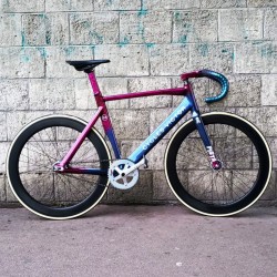 Vélo de piste customisé violet