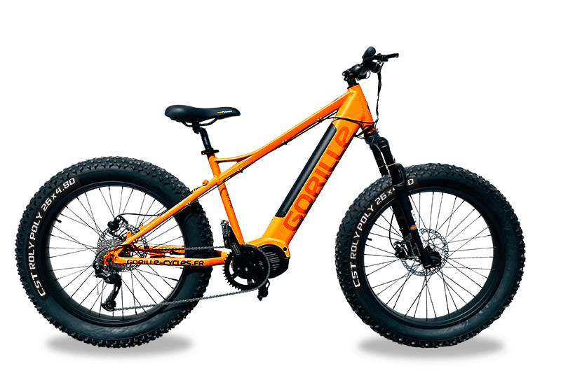 Gorille Athlete Velo Gorille Occasion Fat Bike Gorille Gorille