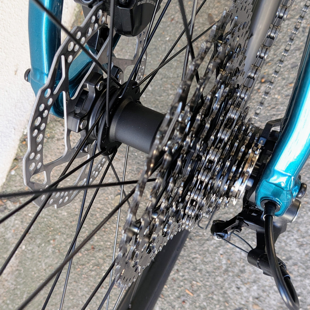 Bianchi Arcadex AL - vert celeste