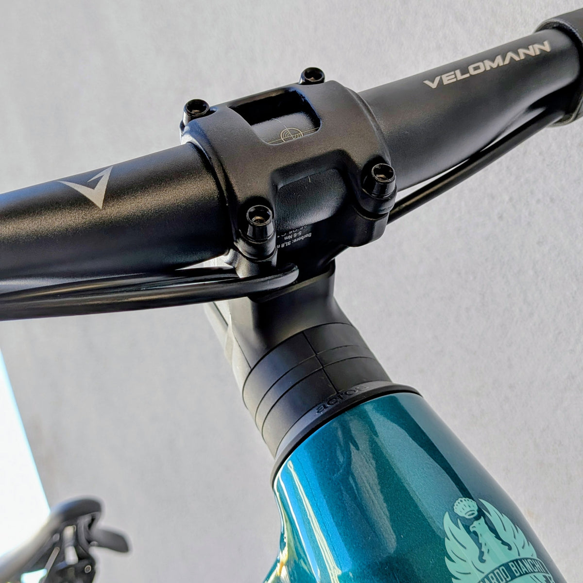 Bianchi Arcadex AL - vert celeste