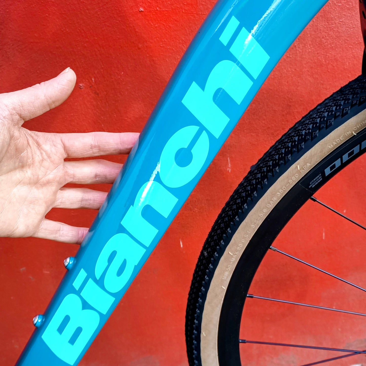 Bianchi GR0014 - taille 50