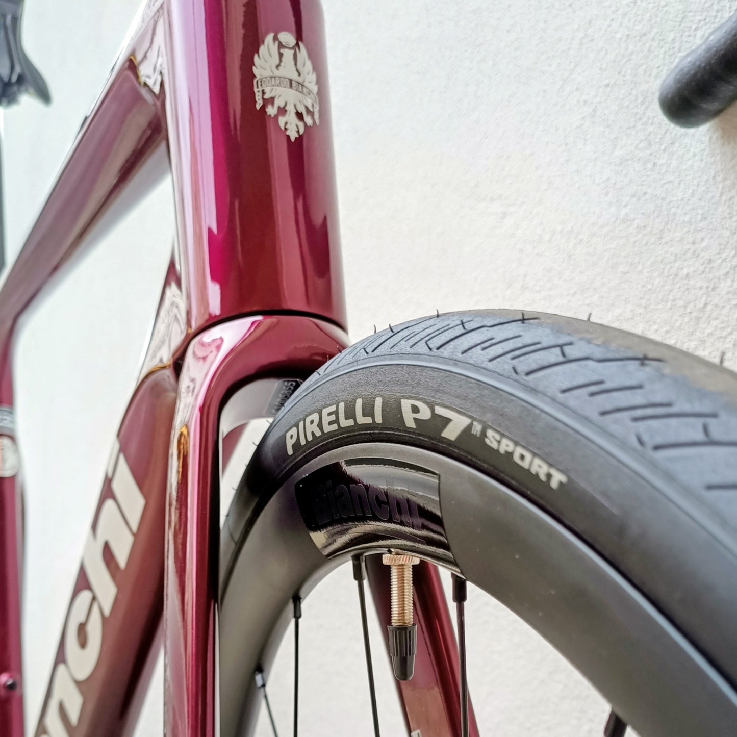 Bianchi Infinito Nouvo - taille 53
