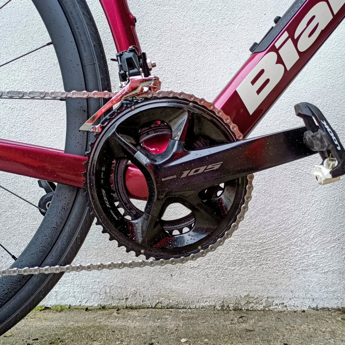 Bianchi Infinito Nouvo - taille 53