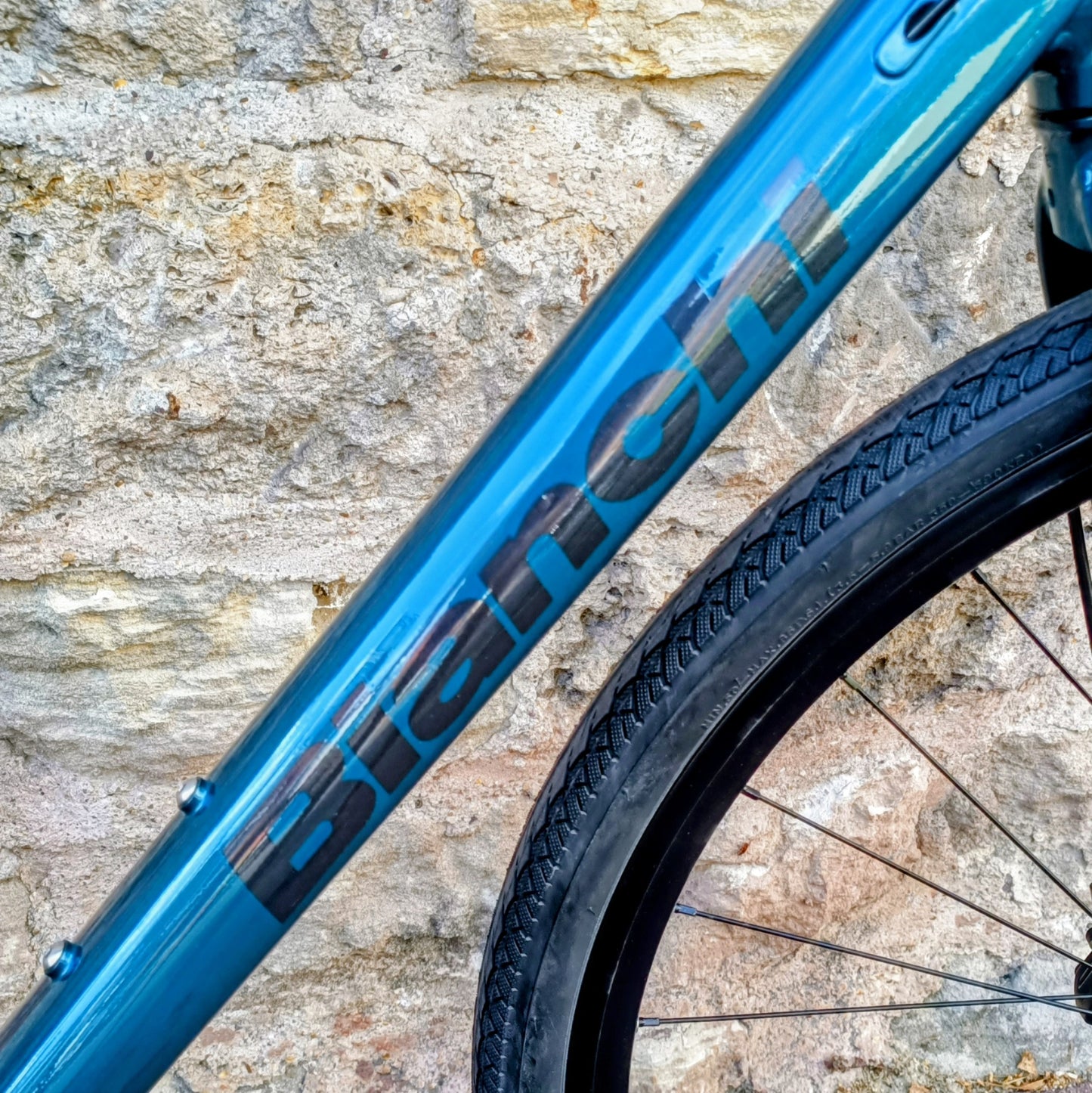 Bianchi Nirone C-Sport - dark turquoise