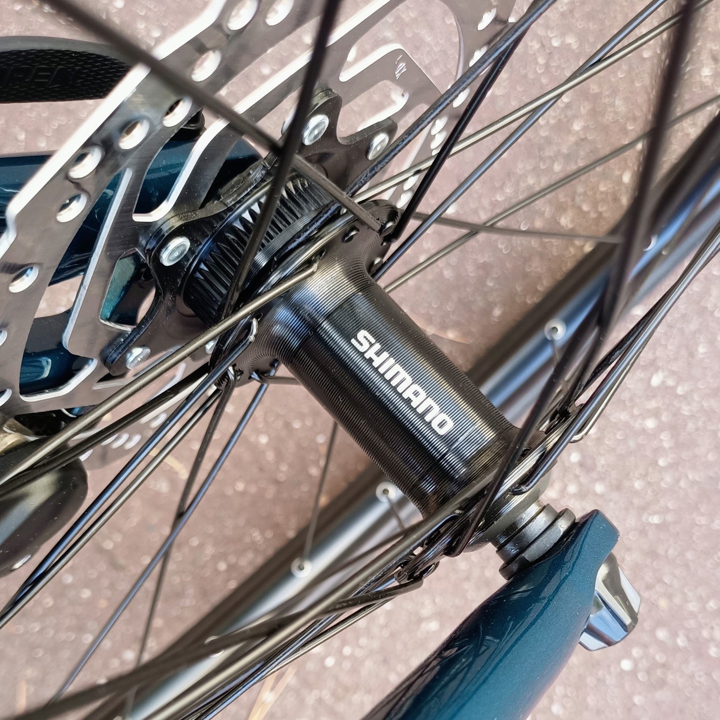 Bianchi Nirone C-Sport - dark turquoise