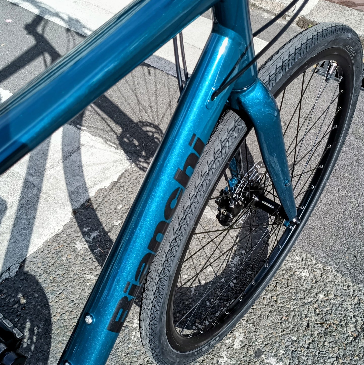 Bianchi Nirone C-Sport - dark turquoise