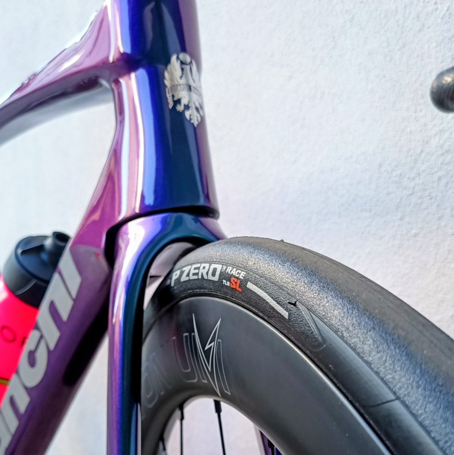 Bianchi Specialissima Pro