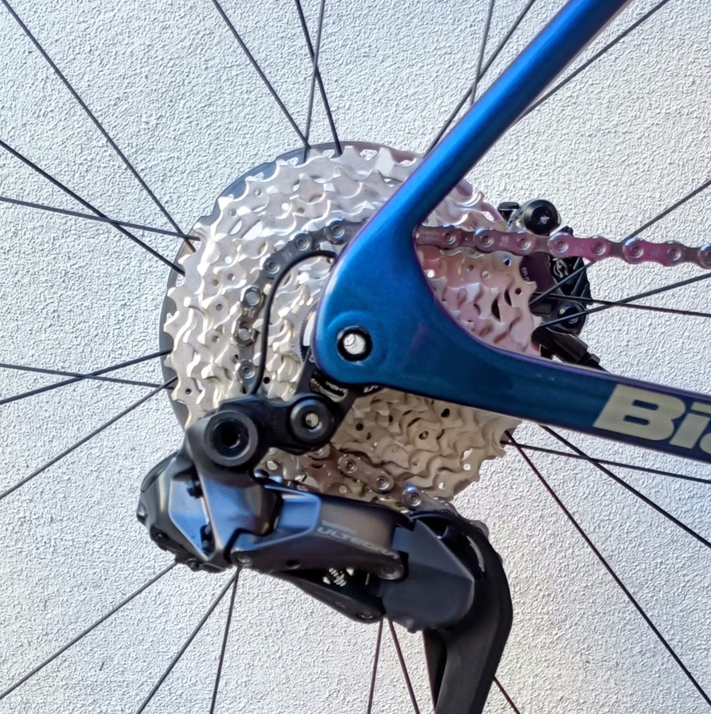 Bianchi Specialissima Pro