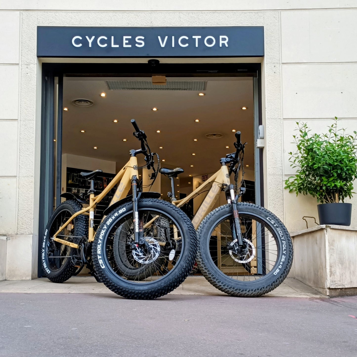 Gorille Athlète VTT 500W