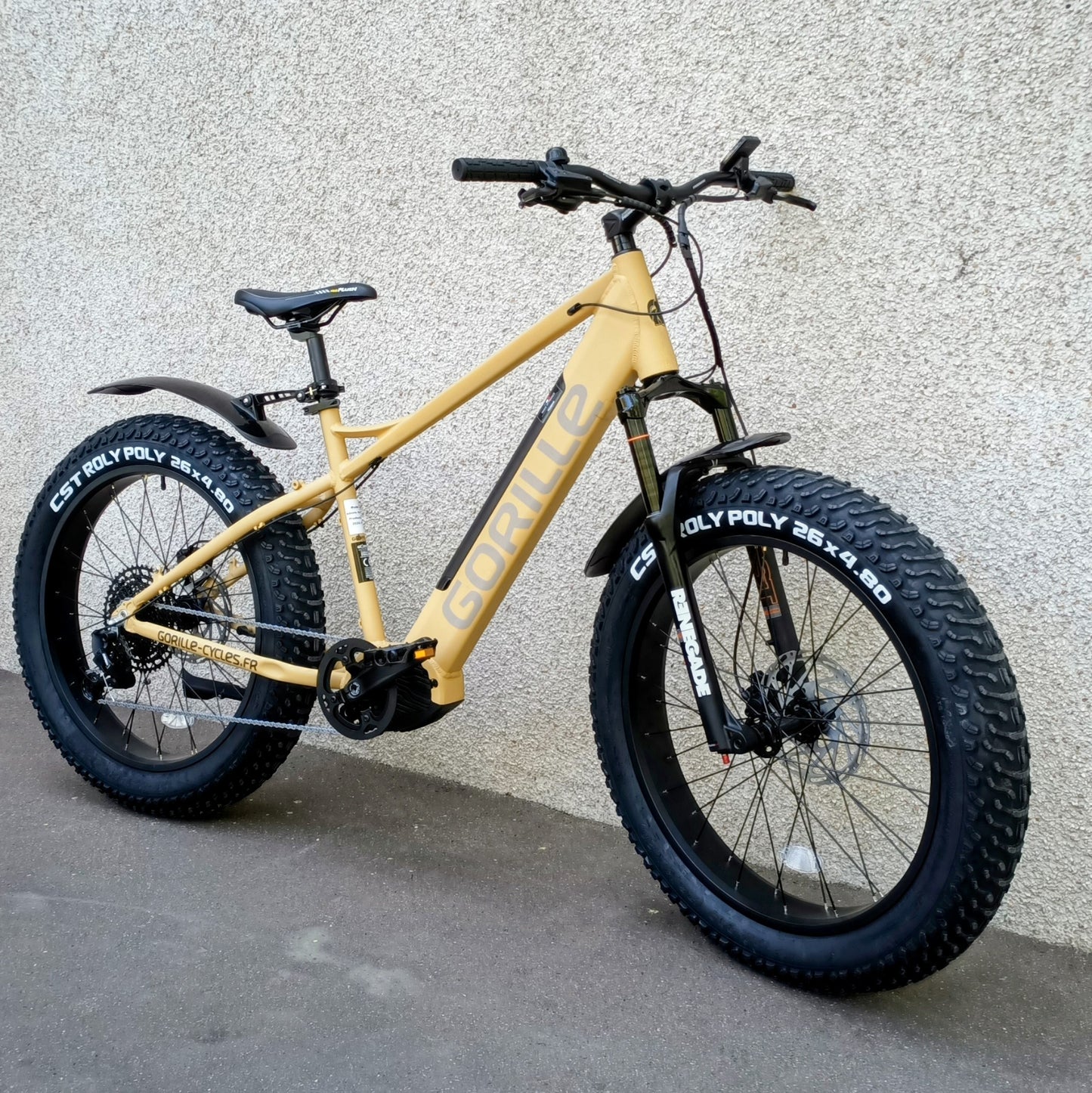 Gorille Athlète VTT 250W