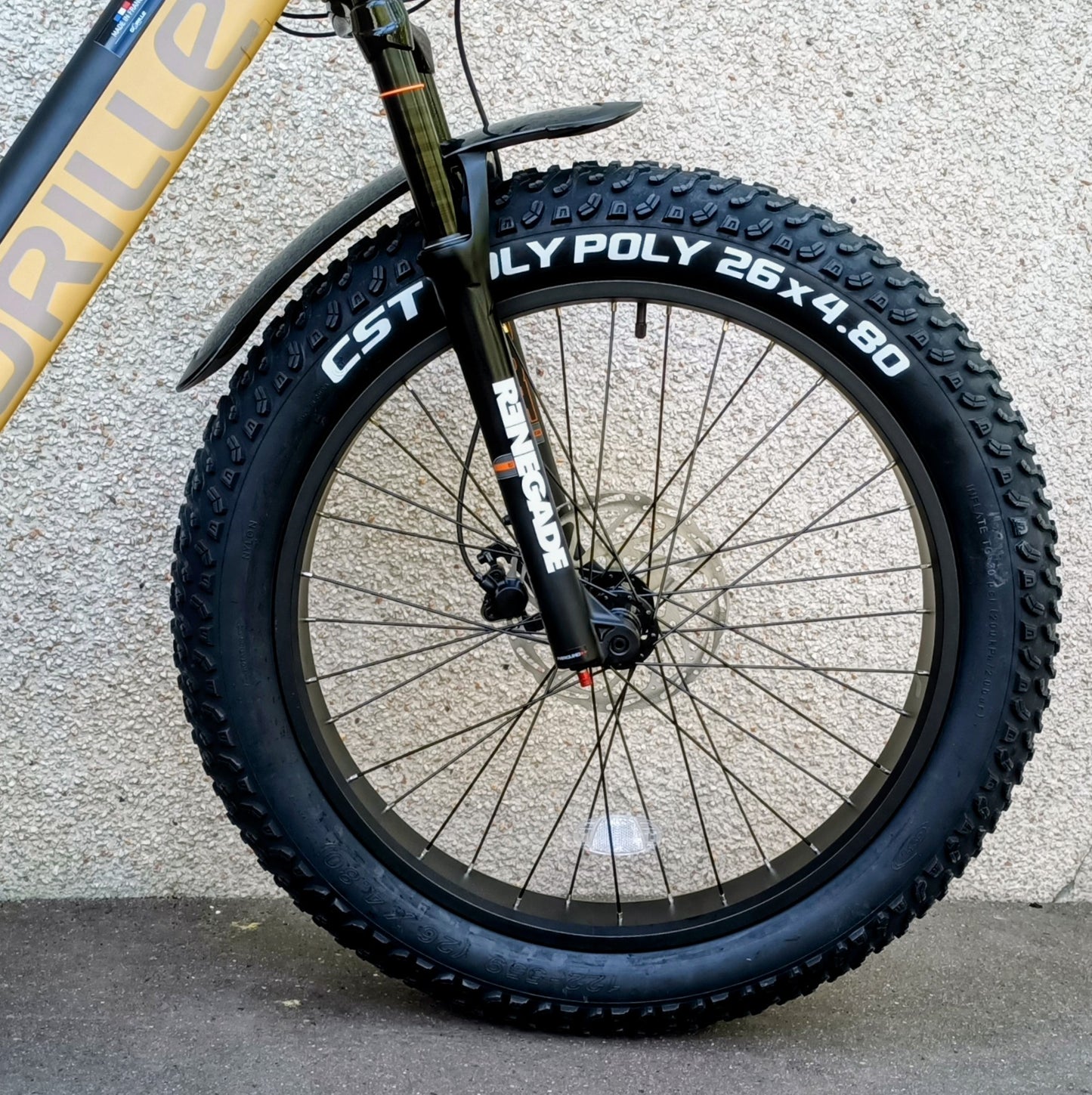 Gorille Athlète VTT 250W