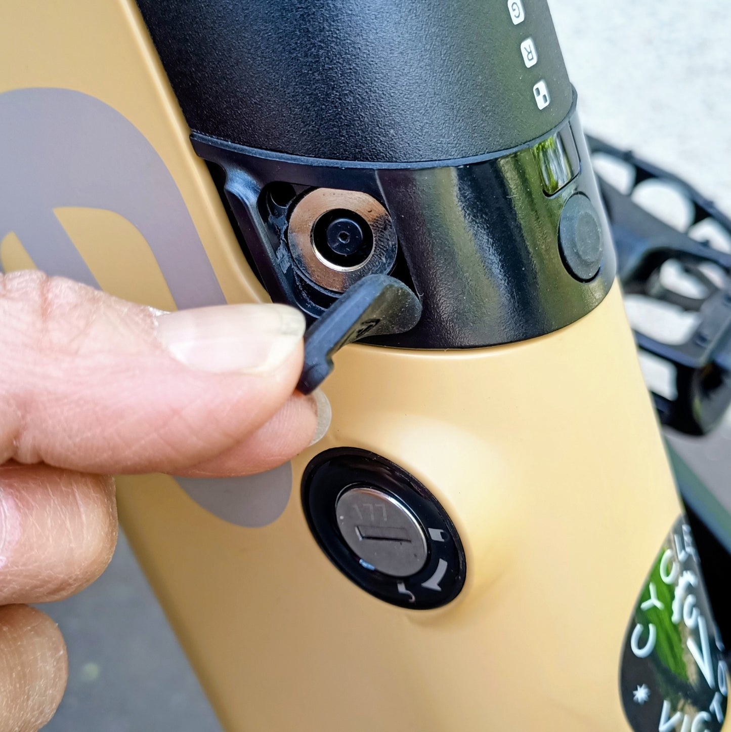 Gorille Athlète VTT 250W