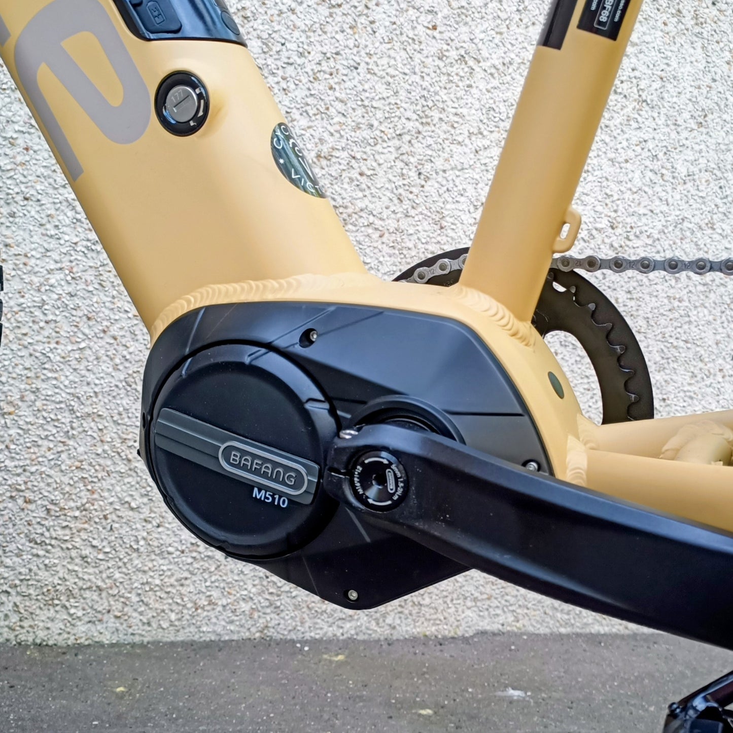 Gorille Athlète VTT 250W