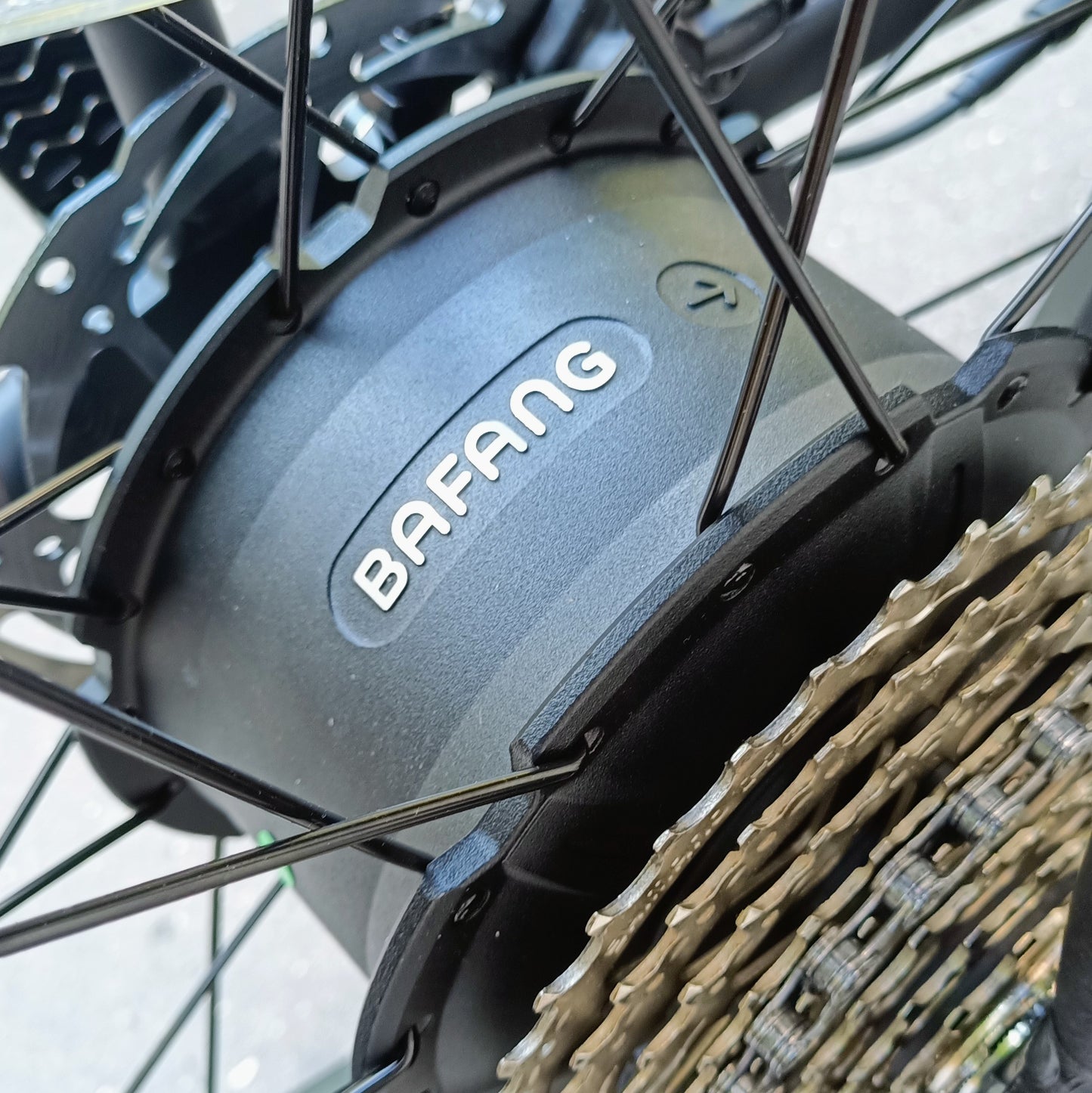 Gorille Bambino 250W - Gen 2