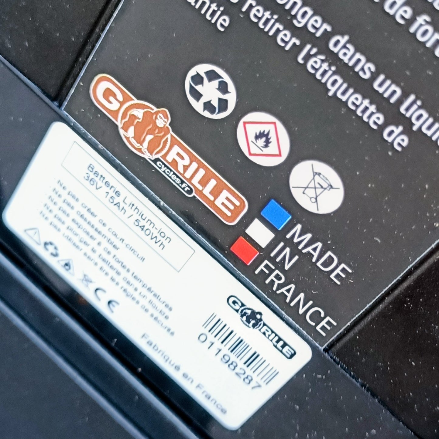 Gorille Bambino 250W - Gen 2