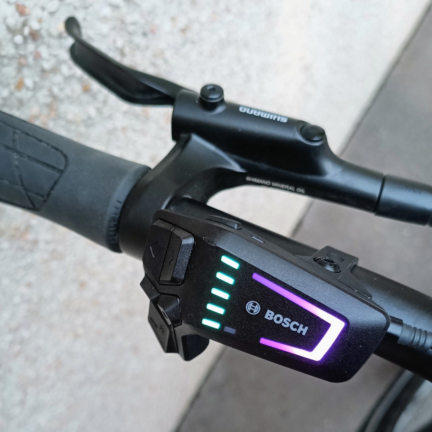 Kalkhoff Entice 3 Excite Belt - Modèle d'expo - taille M