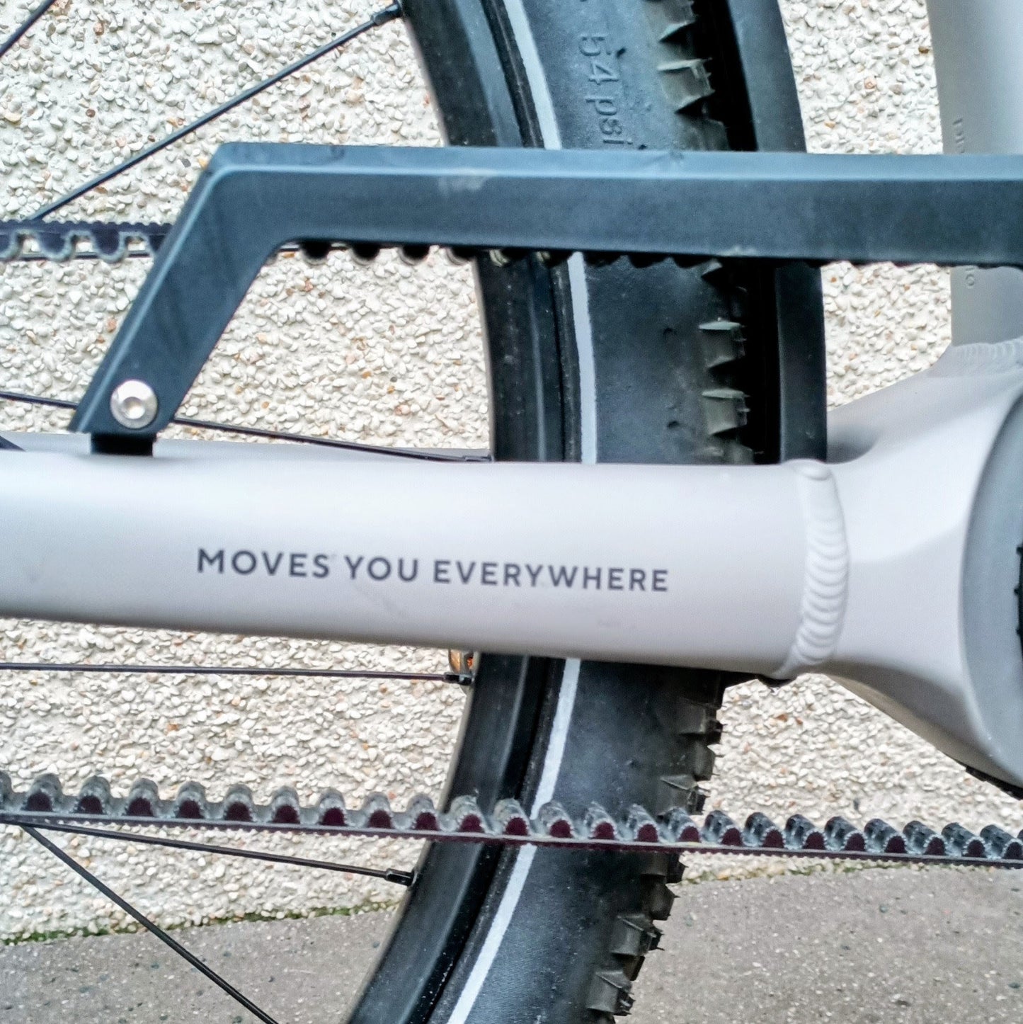 Kalkhoff Entice 3 Excite Belt - Modèle d'expo - taille M