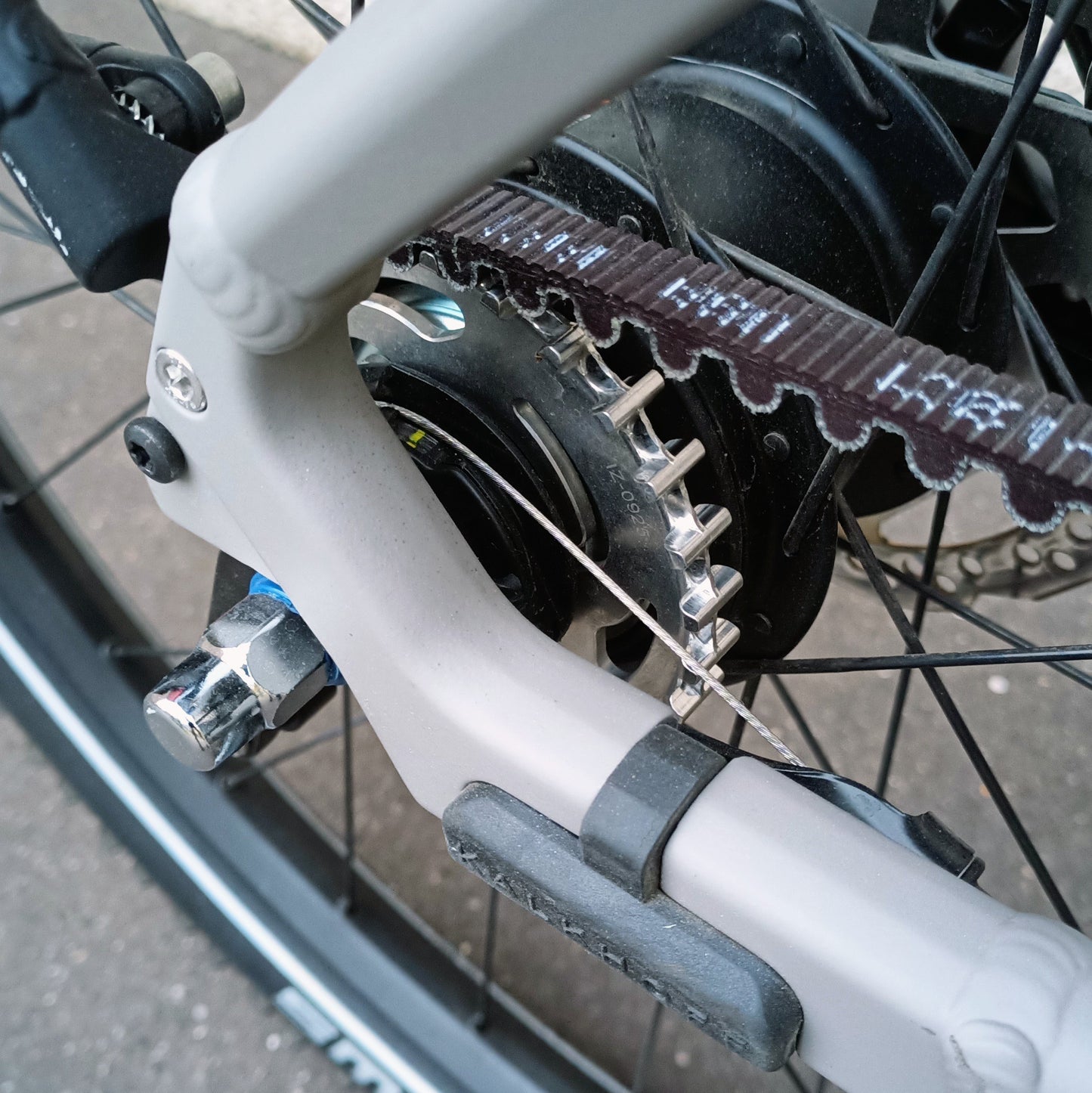 Kalkhoff Entice 3 Excite Belt - Modèle d'expo - taille M