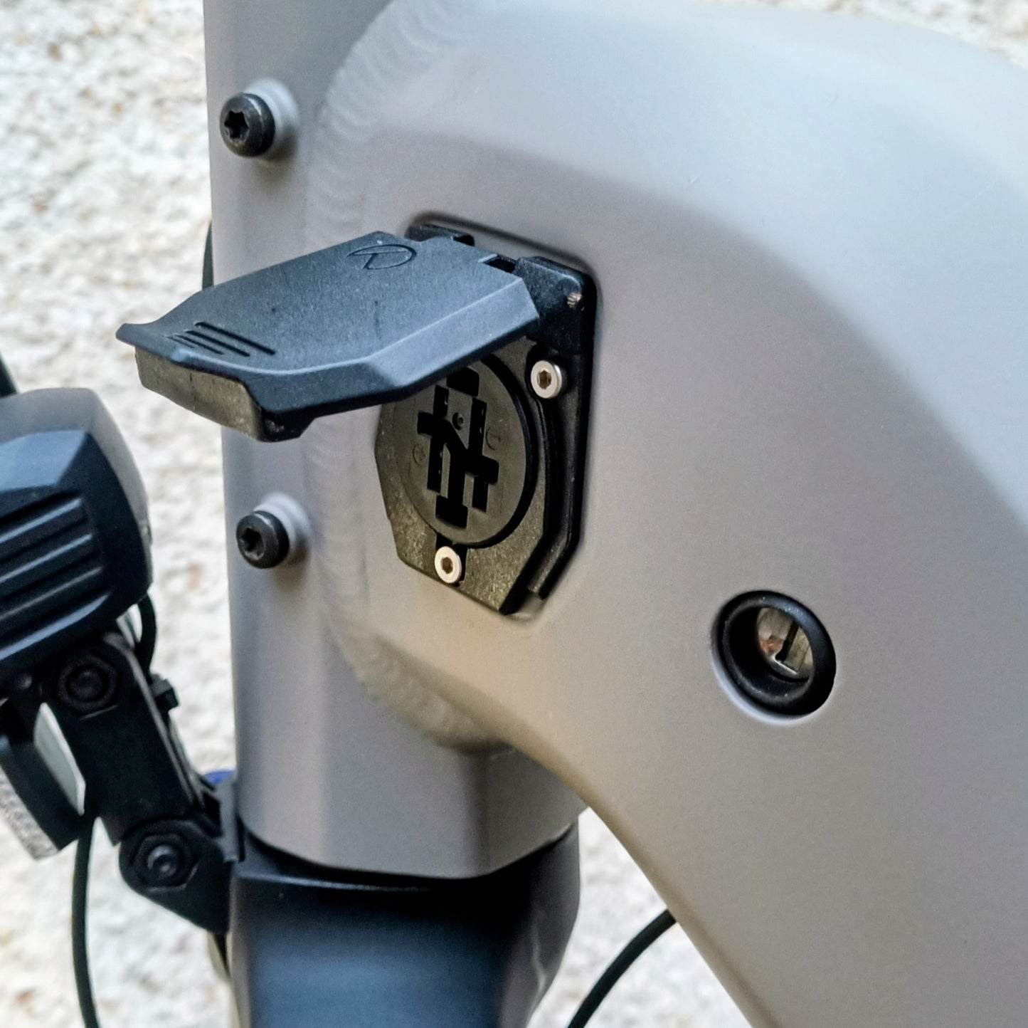 Kalkhoff Entice 3 Excite Belt - Modèle d'expo - taille M