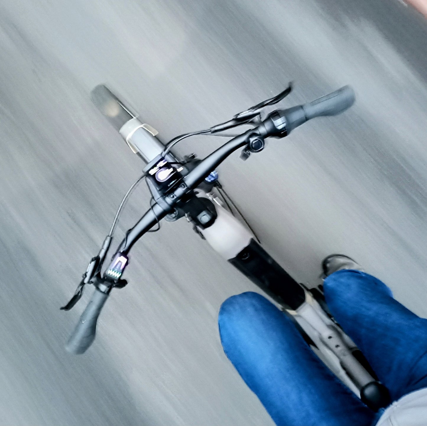 Kalkhoff Entice 3 Excite Belt - Modèle d'expo - taille M