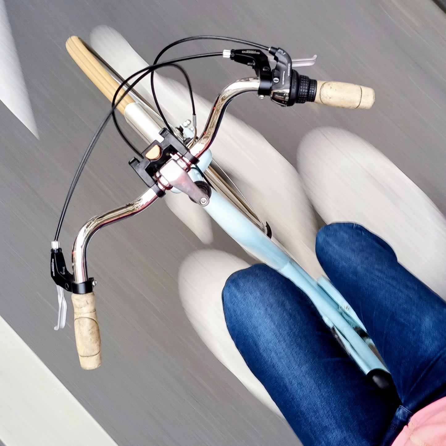 Type Hollandais bleu ciel