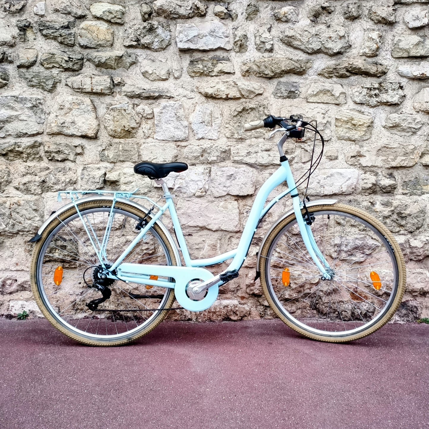 Type Hollandais bleu ciel