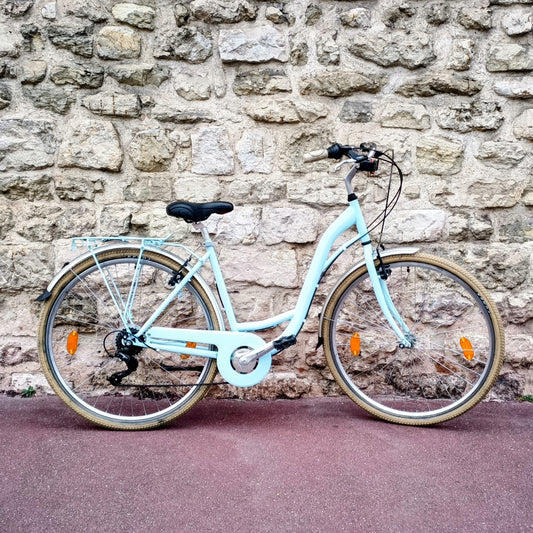 Type Hollandais bleu ciel