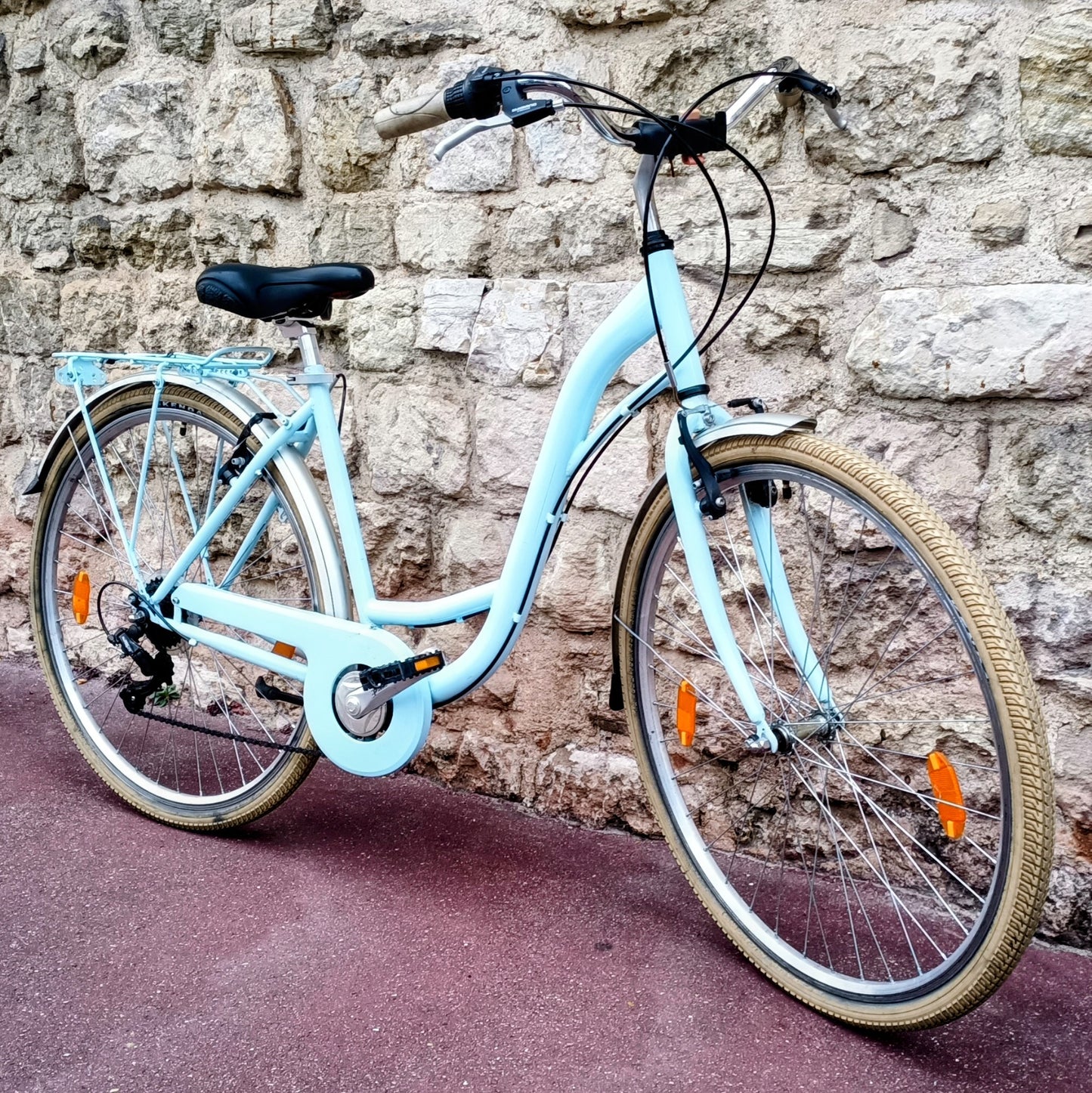 Type Hollandais bleu ciel