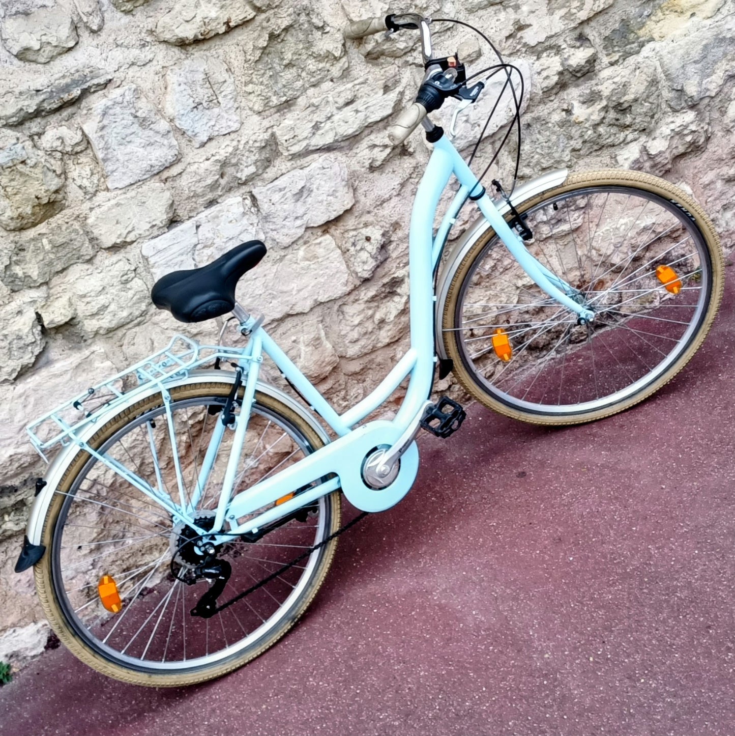 Type Hollandais bleu ciel