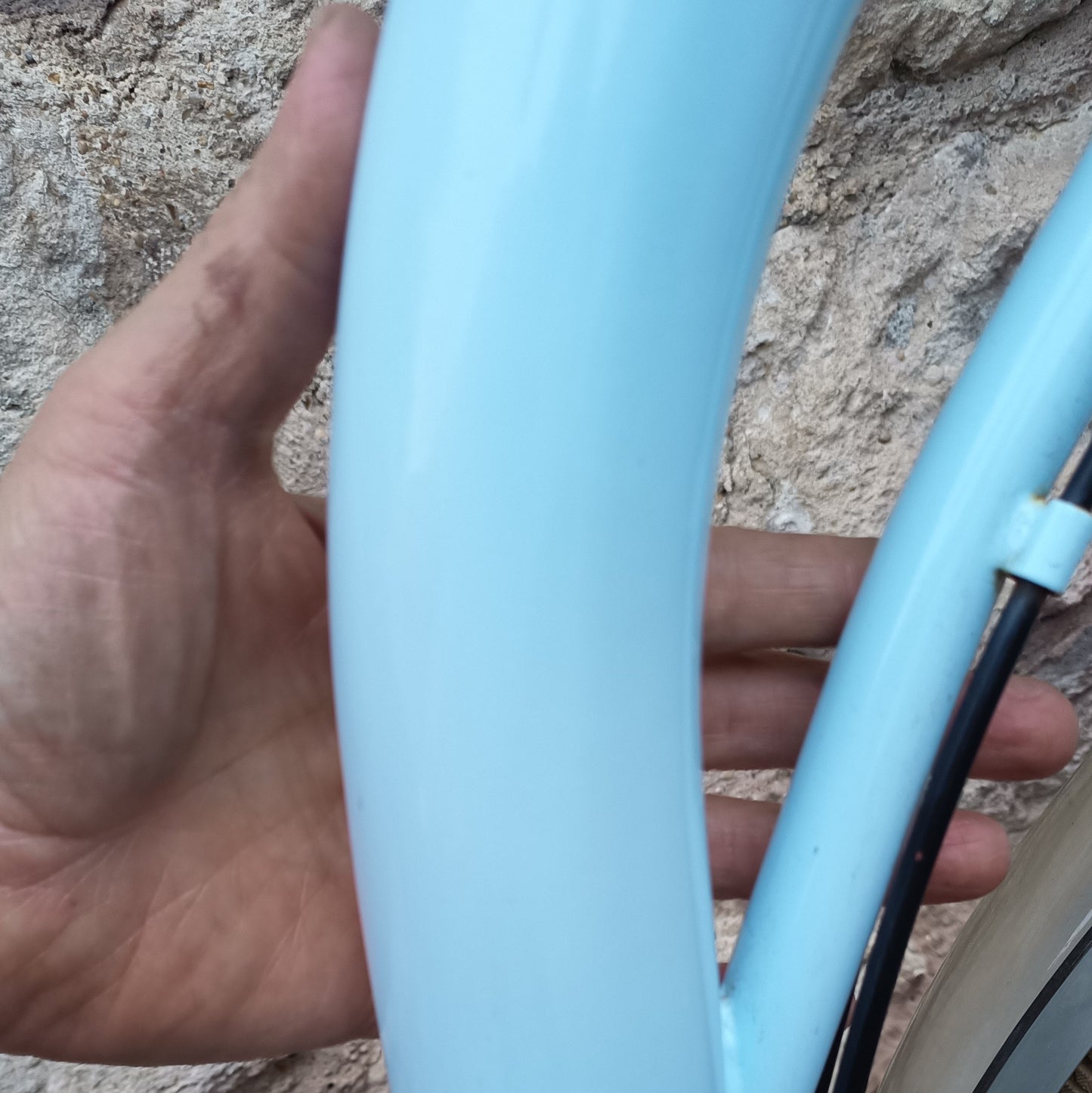 Type Hollandais bleu ciel