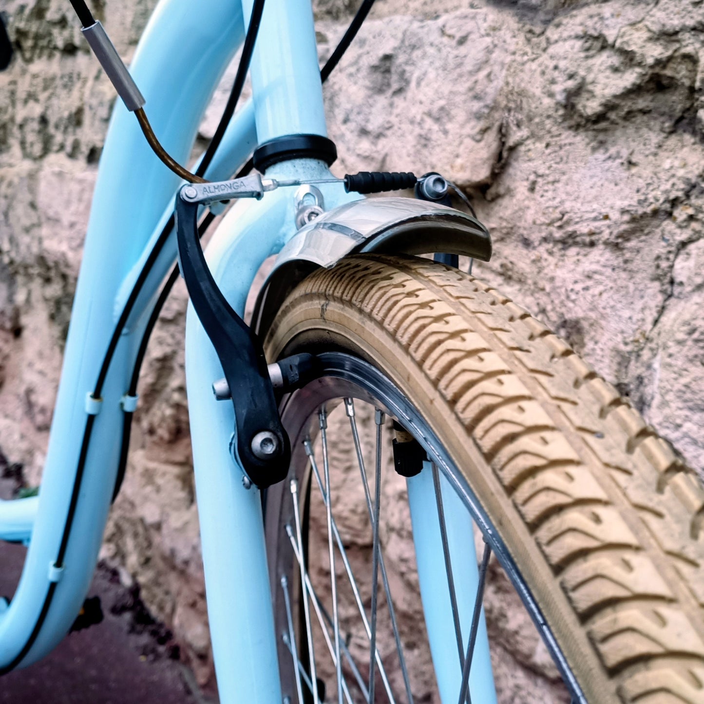 Type Hollandais bleu ciel