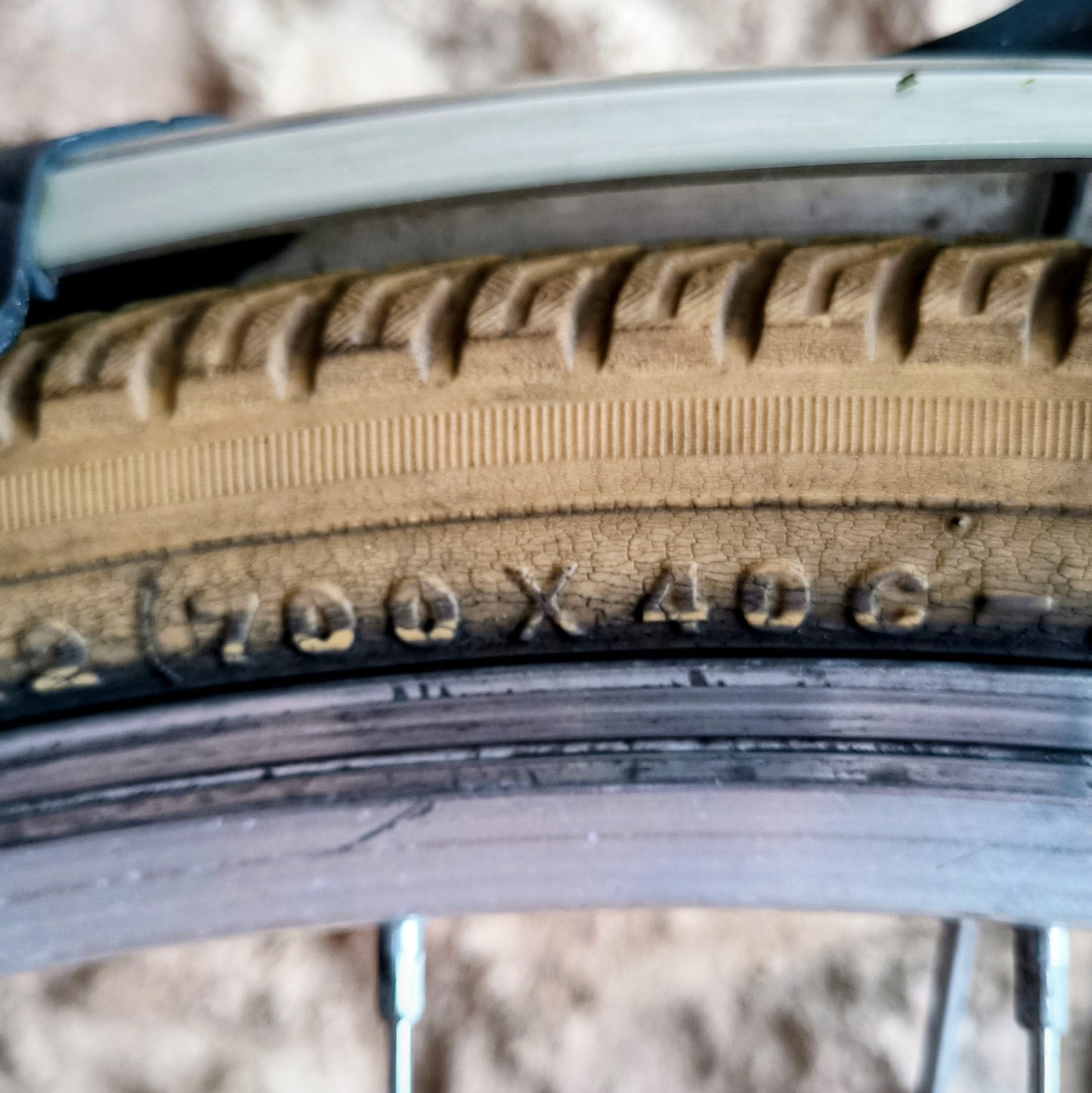 Type Hollandais bleu ciel