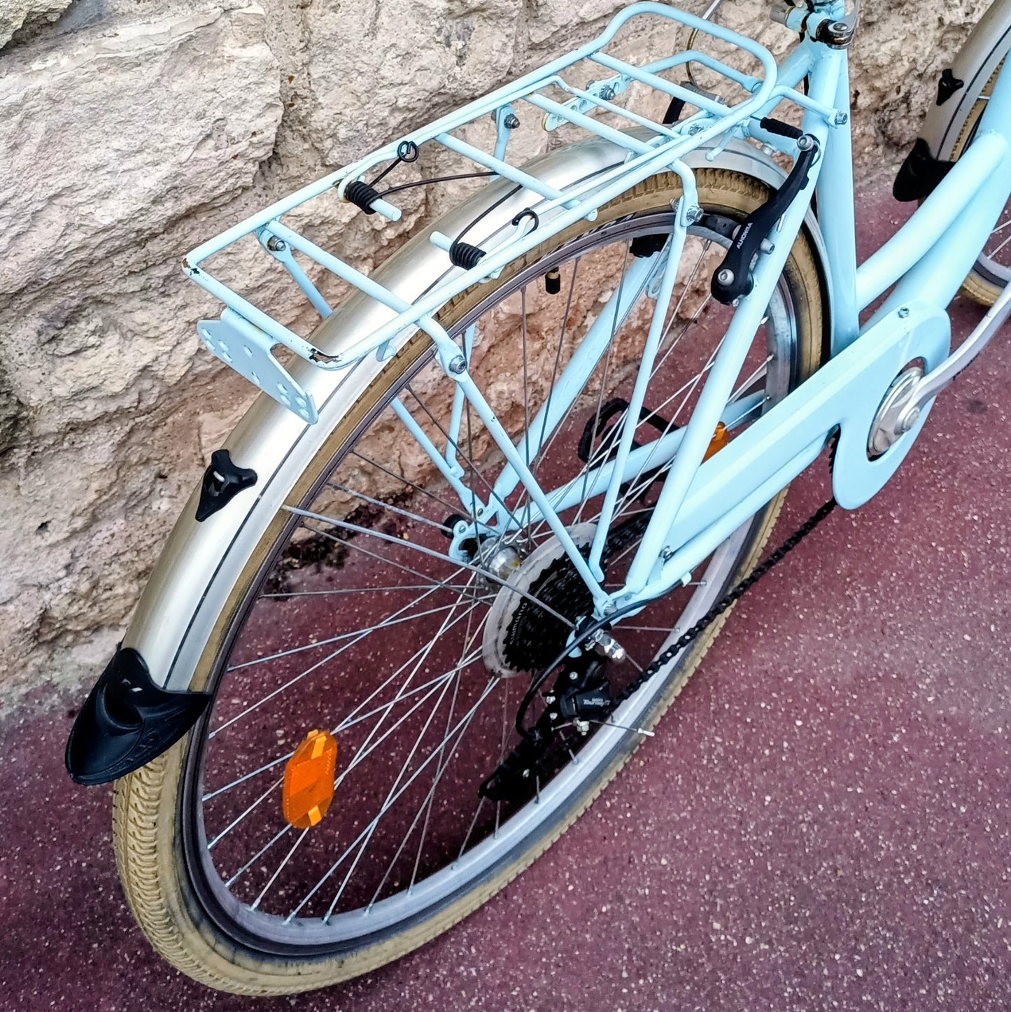 Type Hollandais bleu ciel