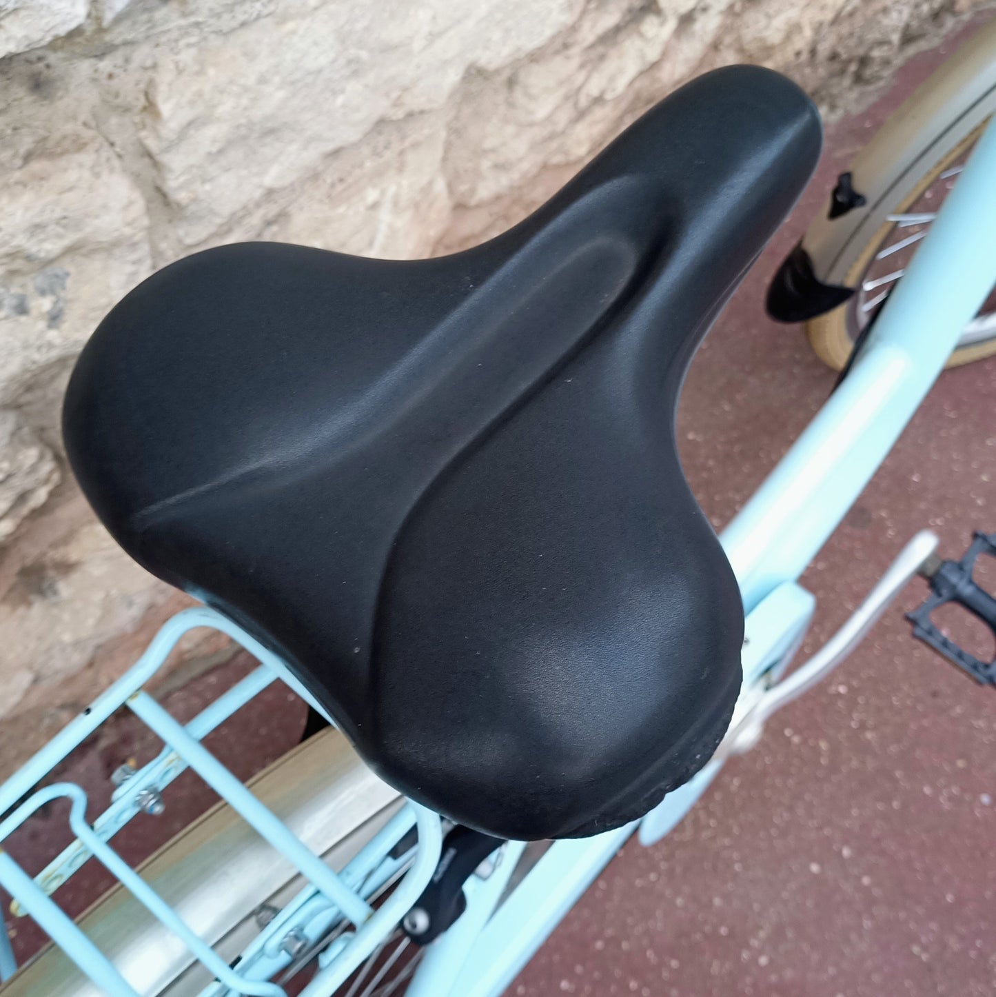 Type Hollandais bleu ciel