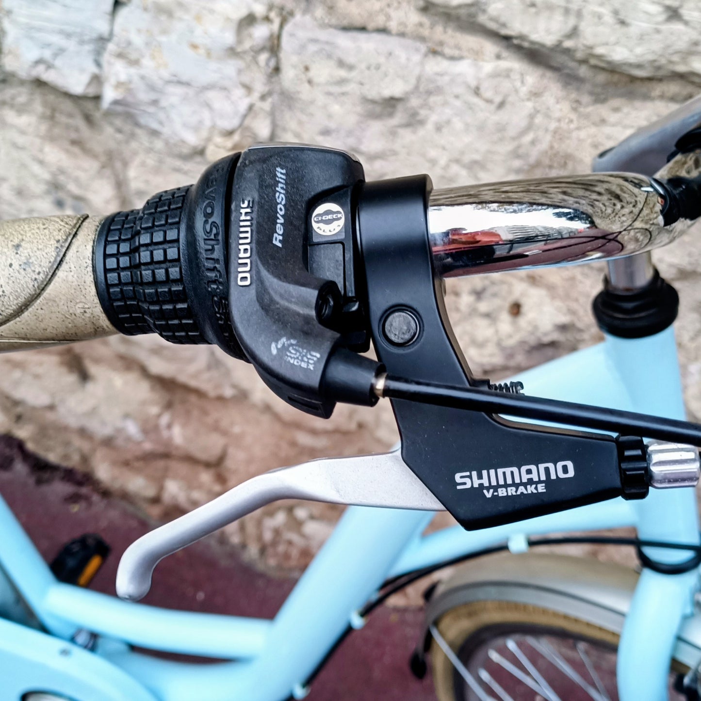 Type Hollandais bleu ciel