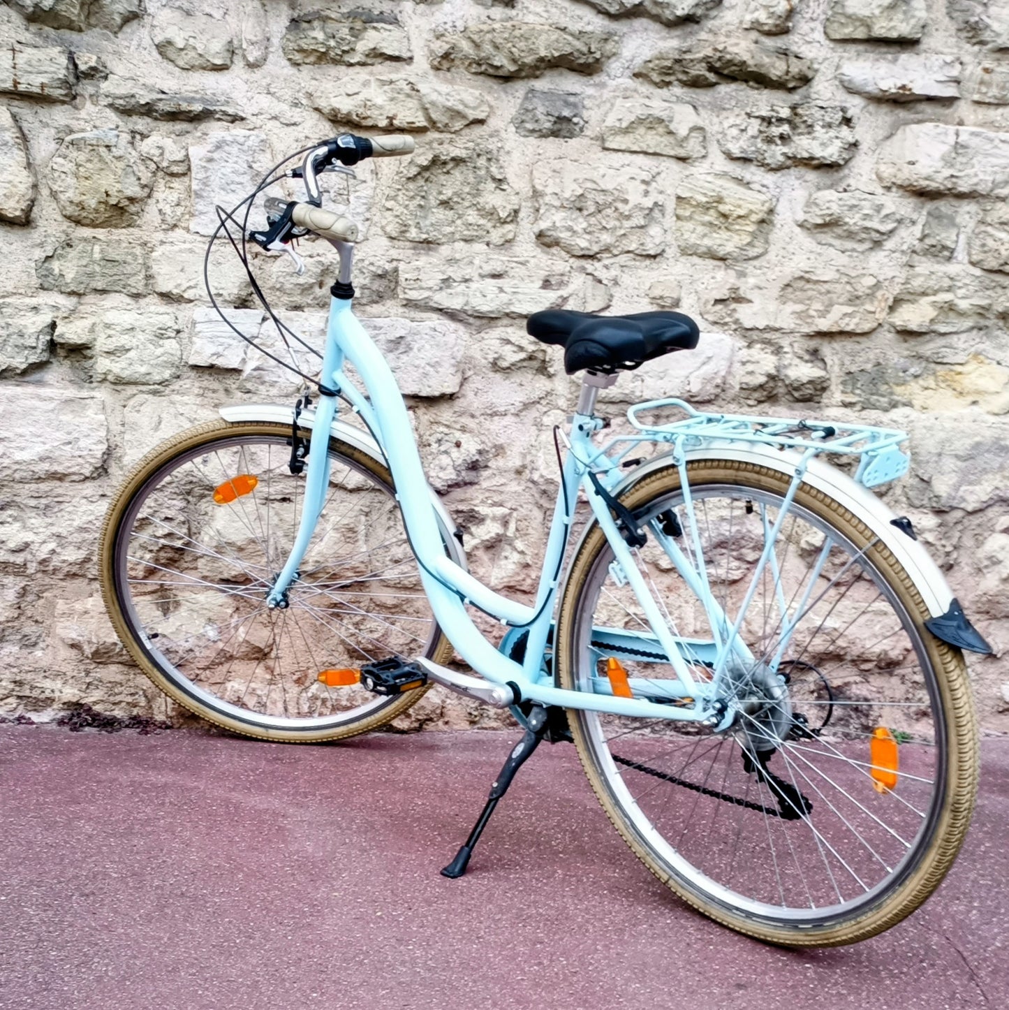 Type Hollandais bleu ciel