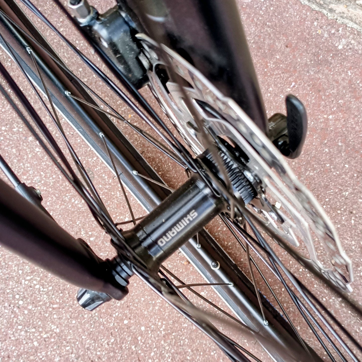 Olympia Speedium Uomo