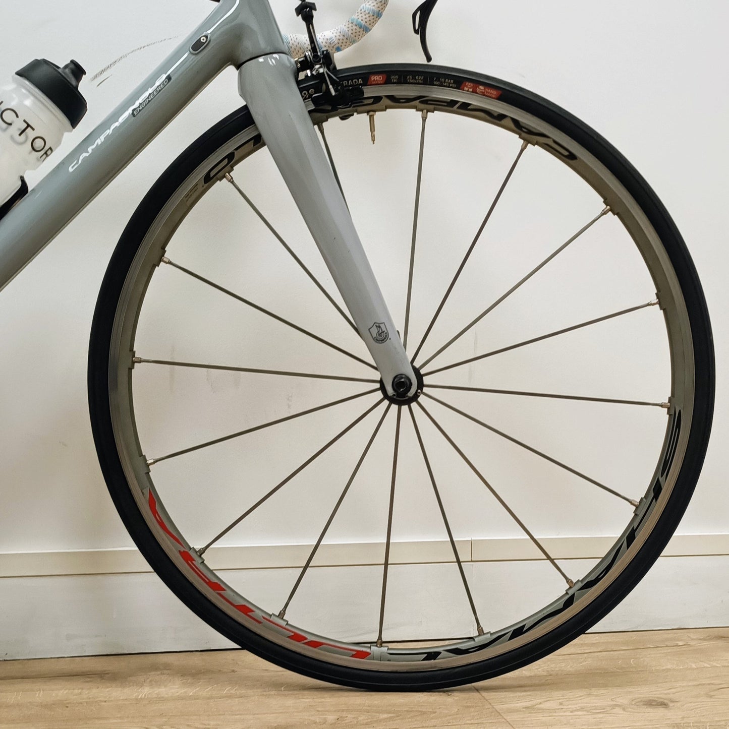 Sarto Asola patin x Campagnolo
