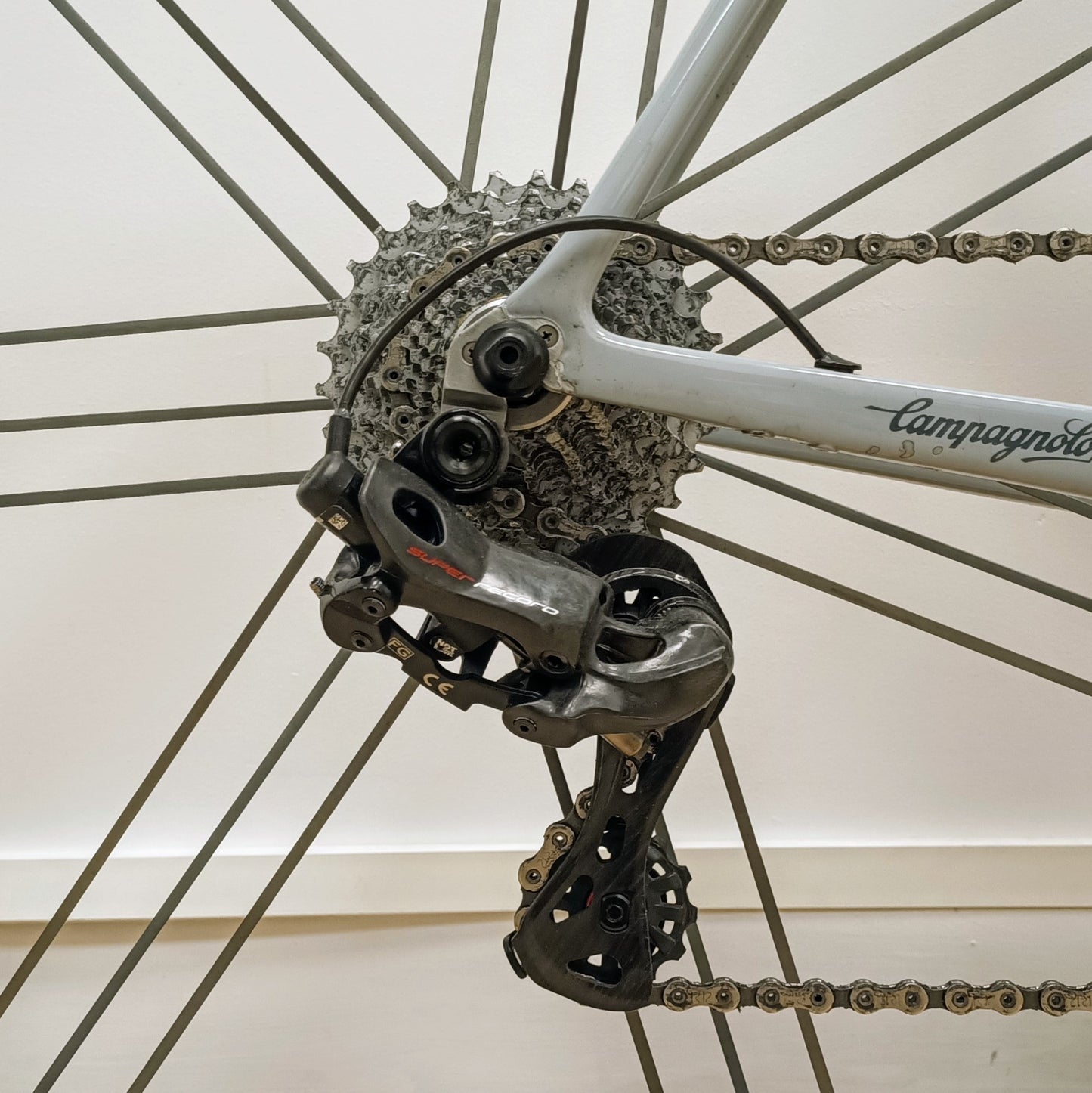 Sarto Asola patin x Campagnolo