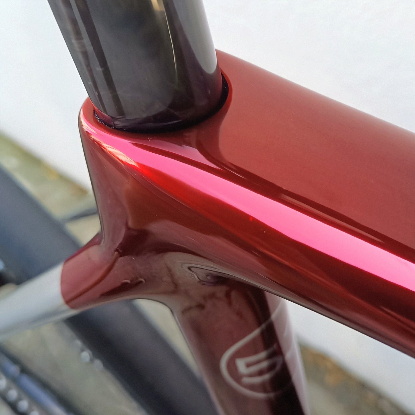 Sarto Cima chrome red full Campa
