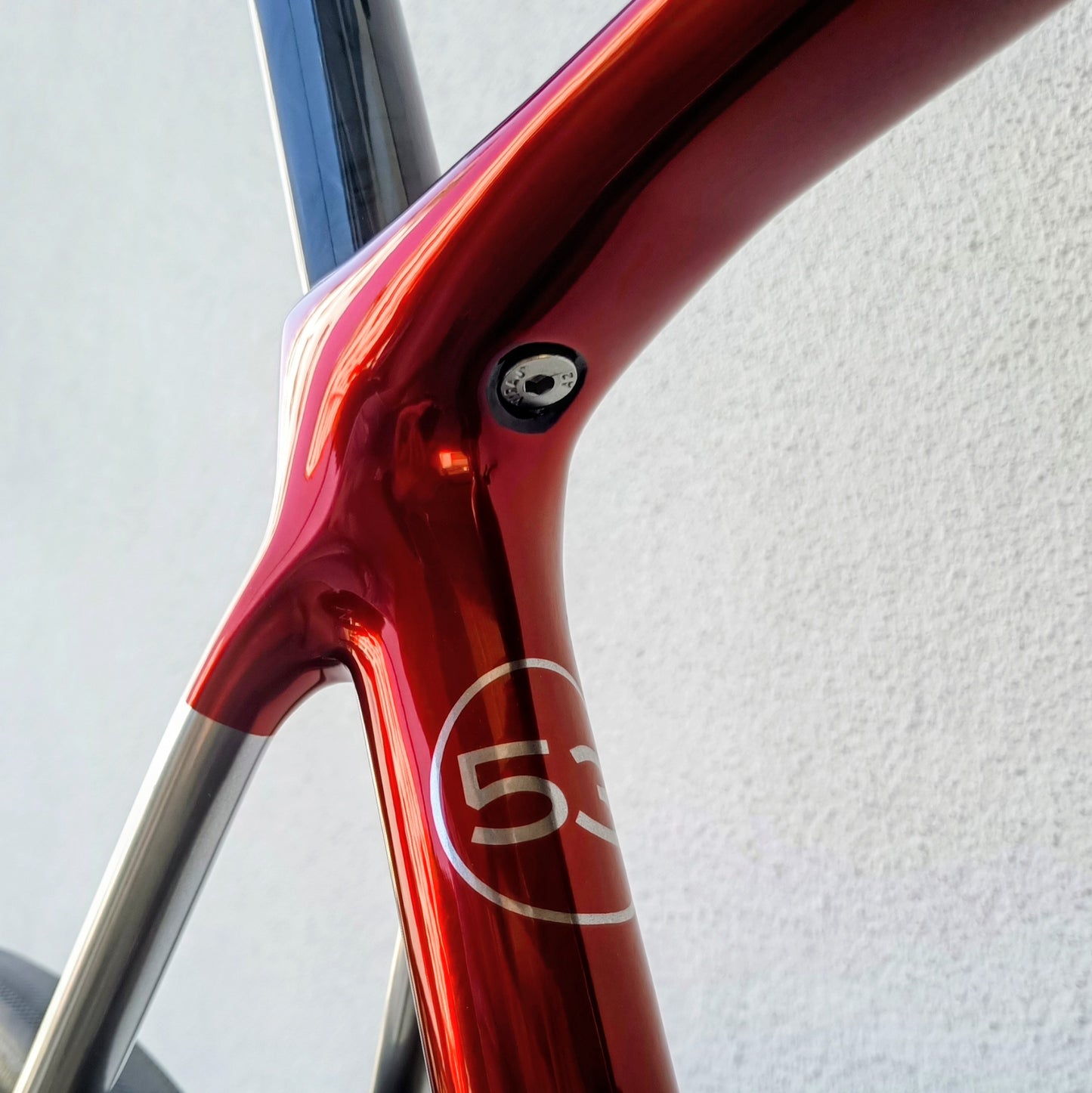 Sarto Cima chrome red full Campa