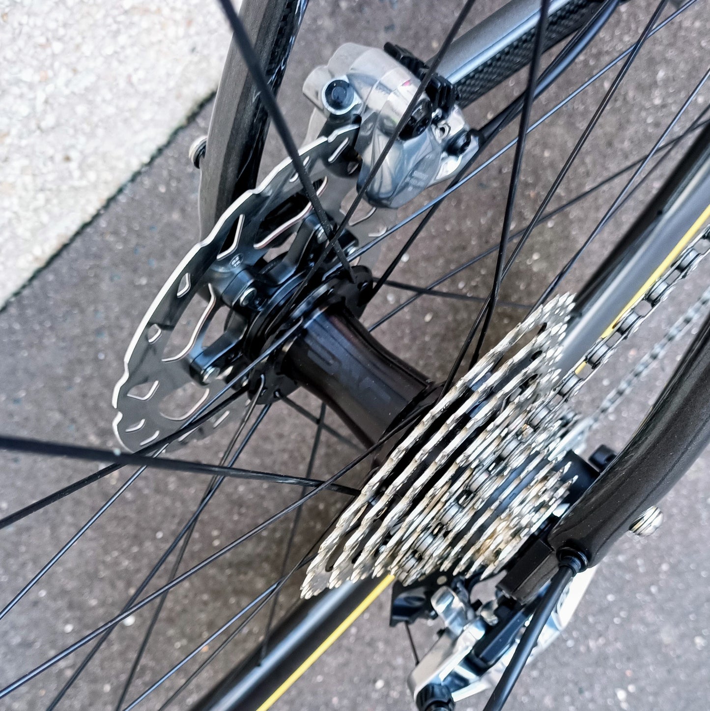 Sarto Gravel TA (gris)