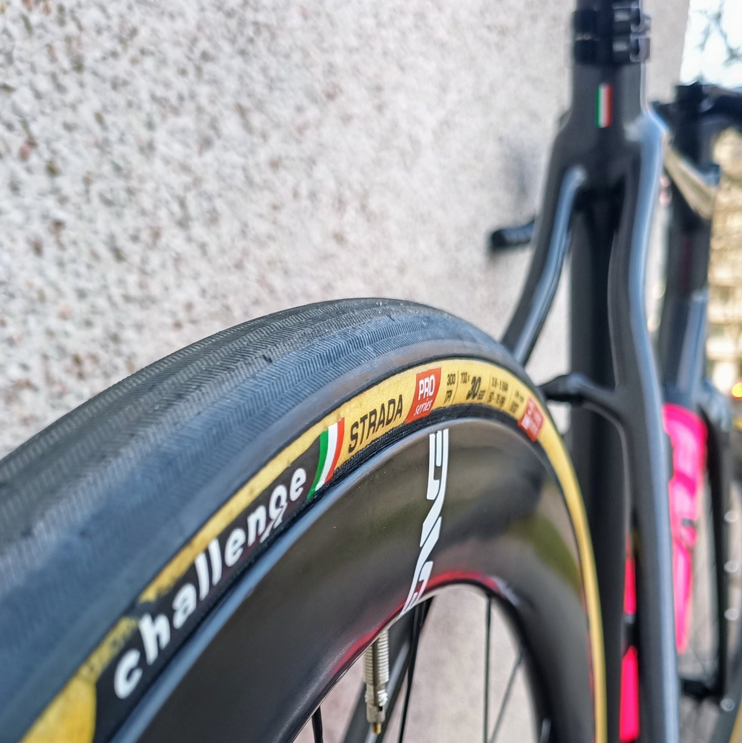 Sarto Gravel TA (gris)
