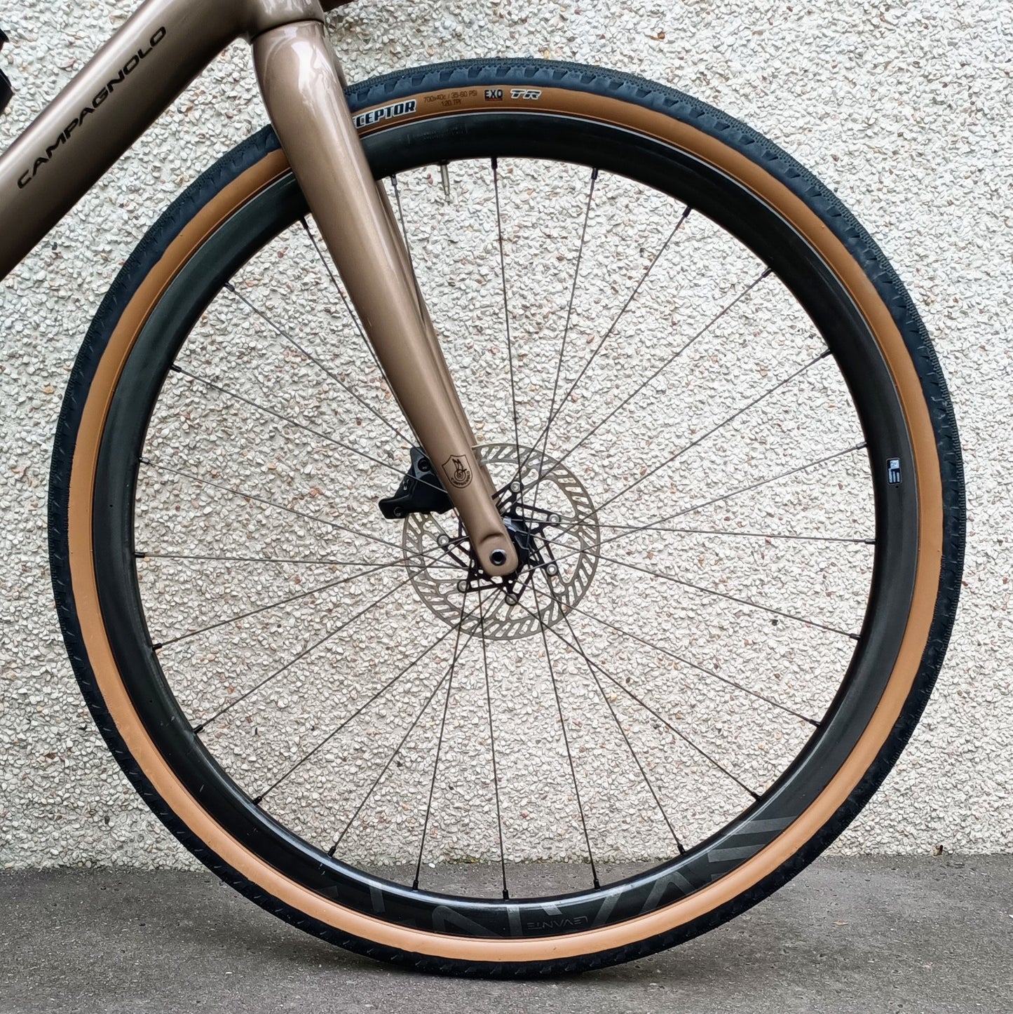 Sarto Gravel TA x Campa (marron/noir)