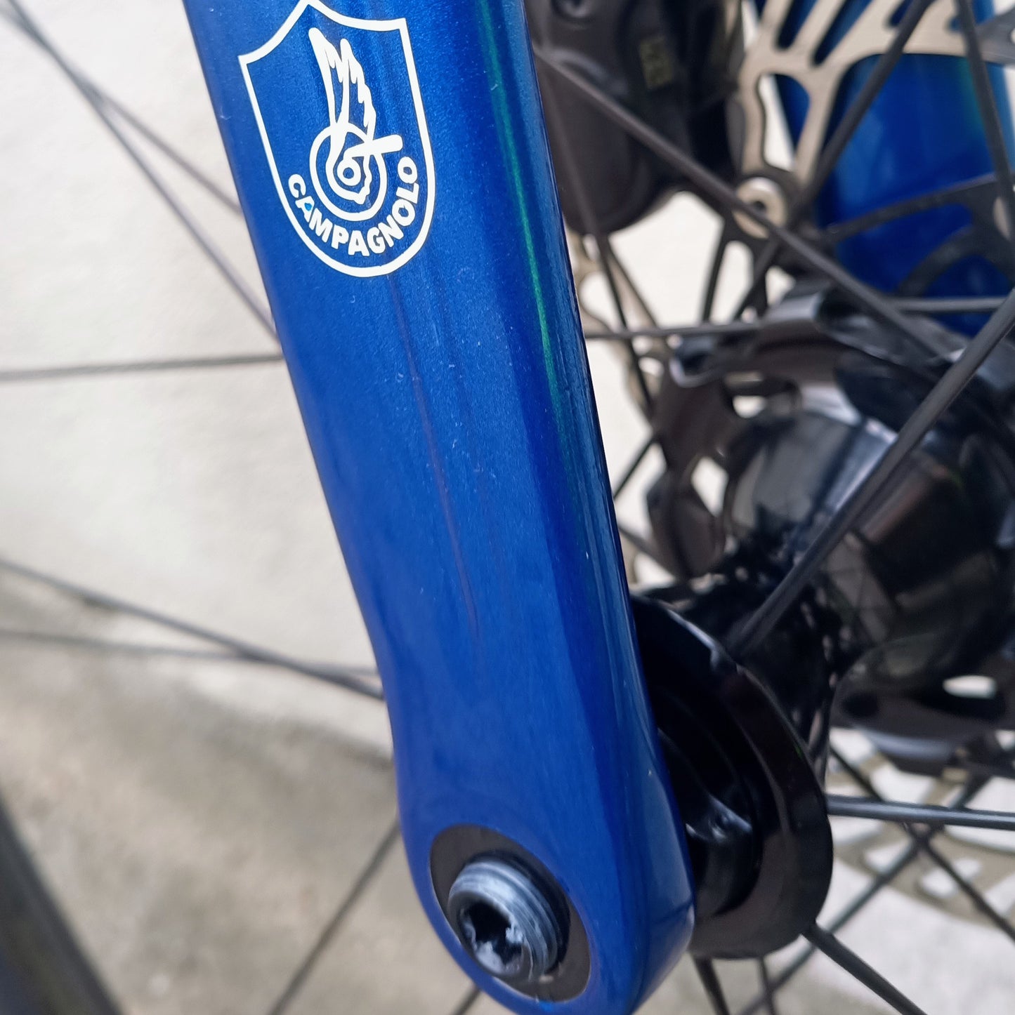 Sarto Lampo Plus x Campagnolo (bleu/noir)