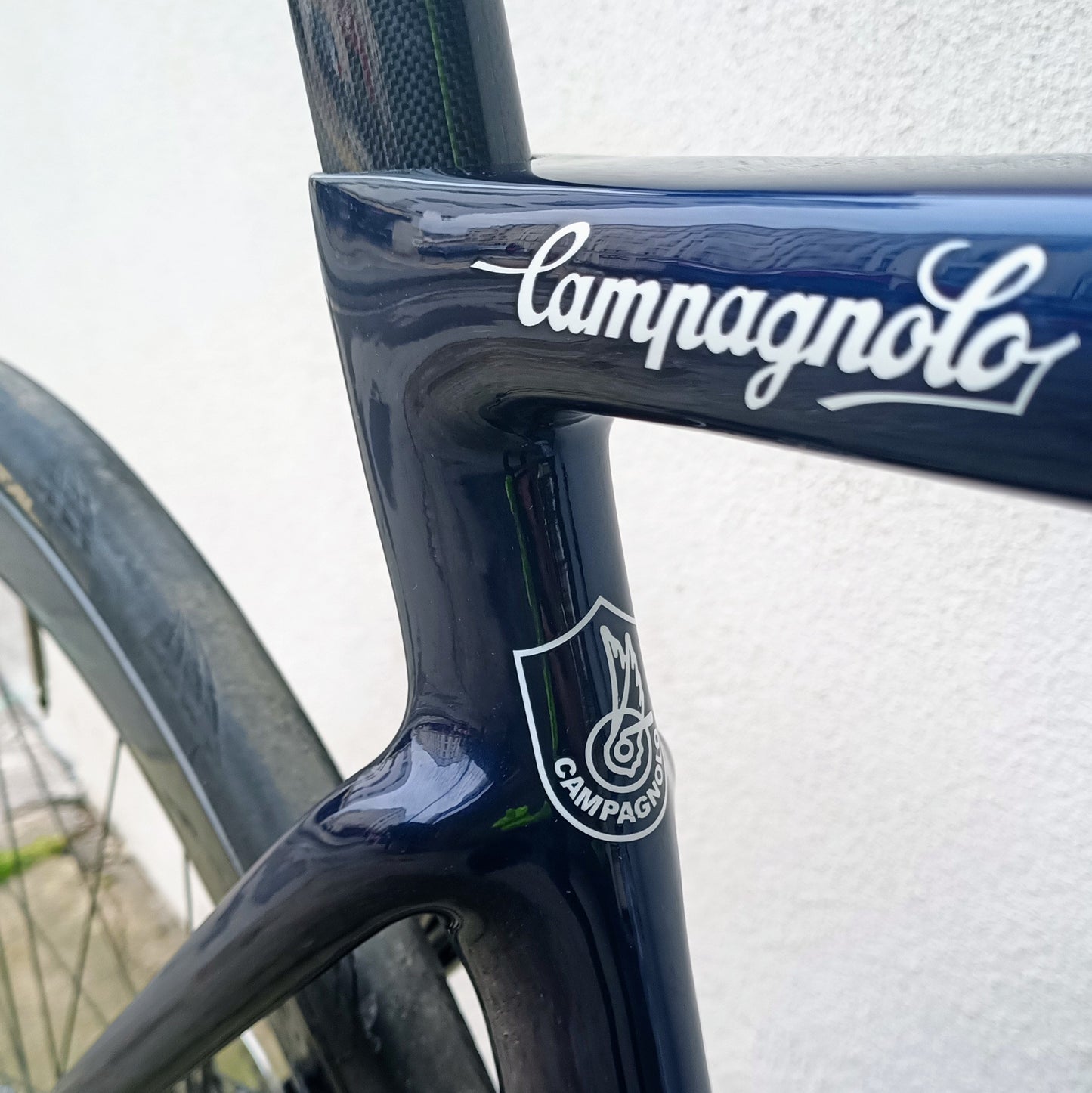 Sarto Lampo Plus x Campagnolo (bleu/noir)