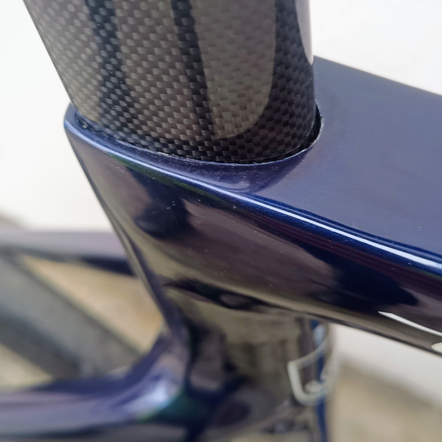 Sarto Lampo Plus x Campagnolo (bleu/noir)