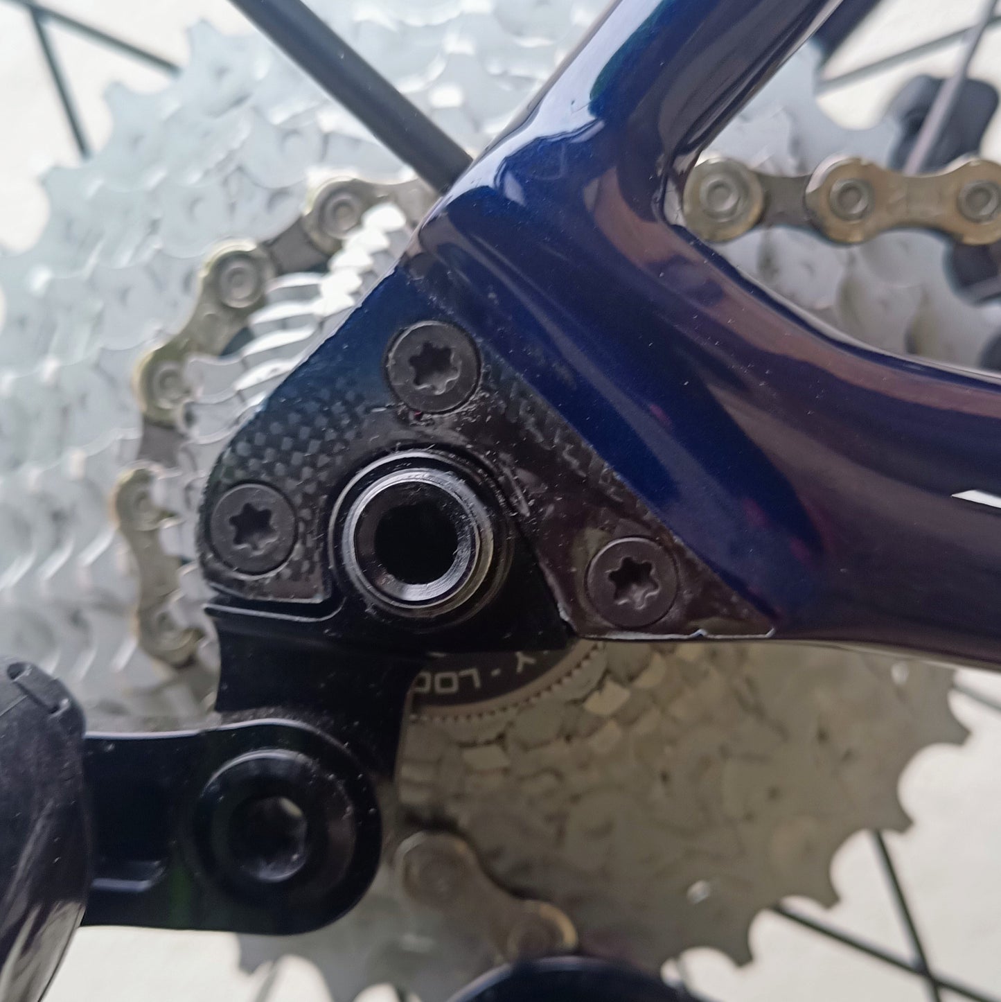 Sarto Lampo Plus x Campagnolo (bleu/noir)