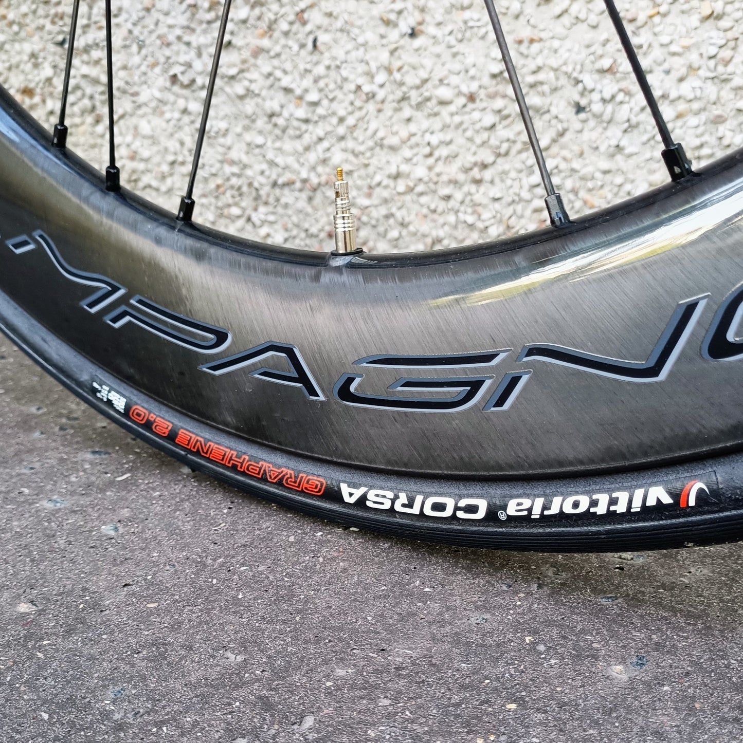 Sarto Lampo Plus x Campagnolo, taille L (bleu/noir)