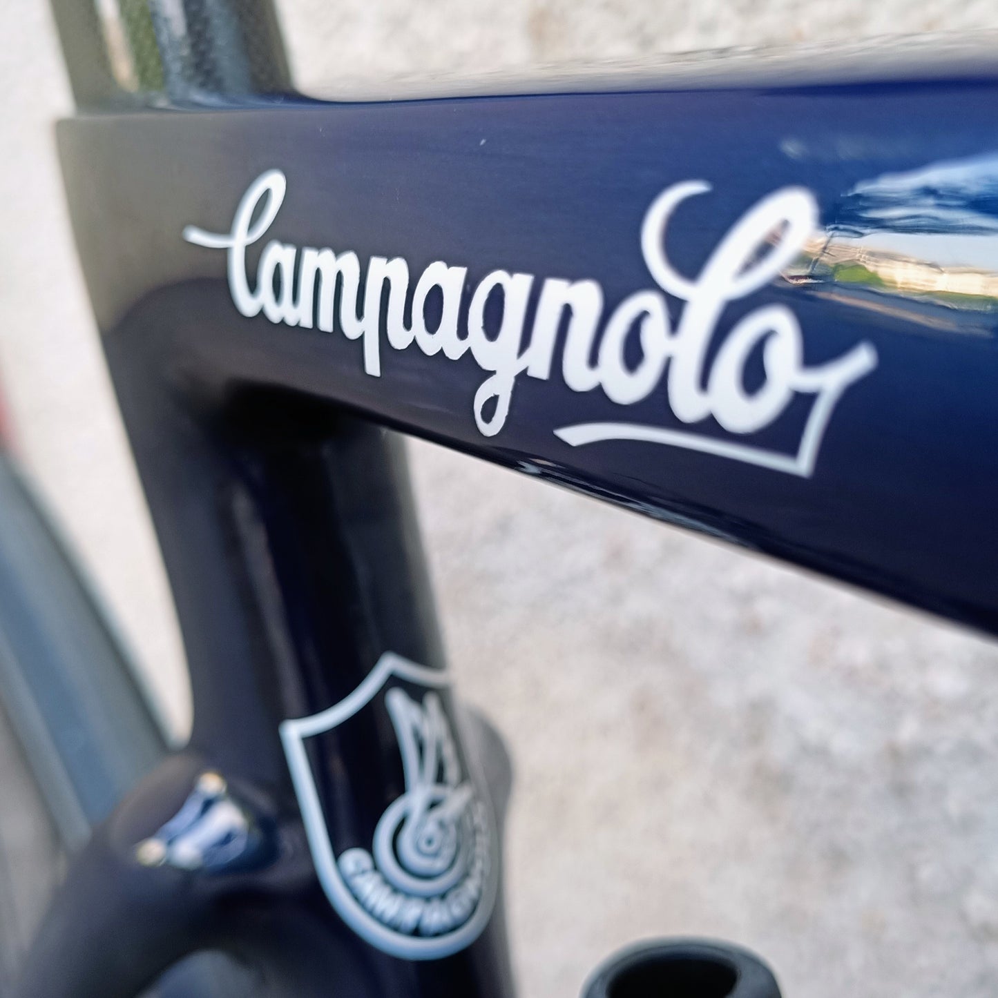 Sarto Lampo Plus x Campagnolo, taille L (bleu/noir)